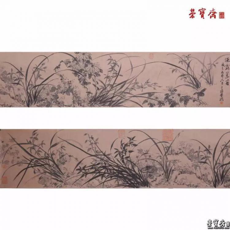 国画手卷《浥露兰菊》作品规格:32cmx230cm 6.