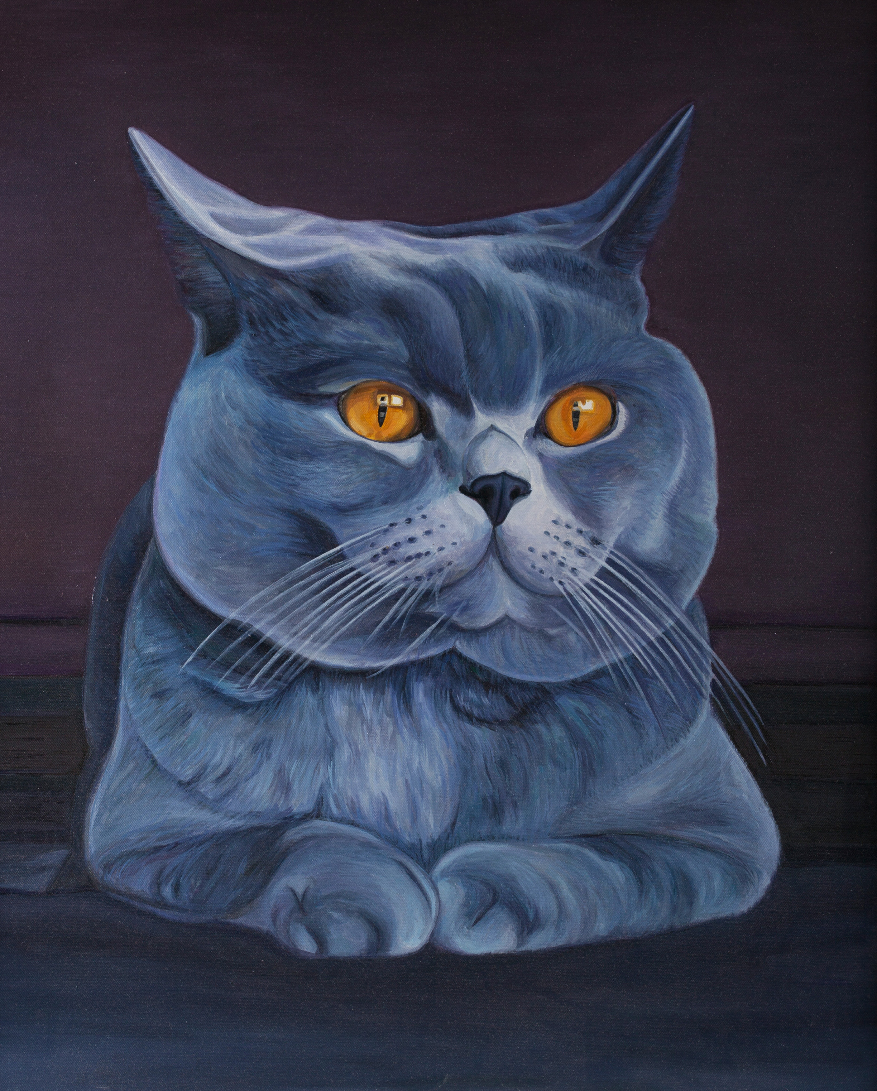 《蓝猫》布面油画 100×80cm 2015年