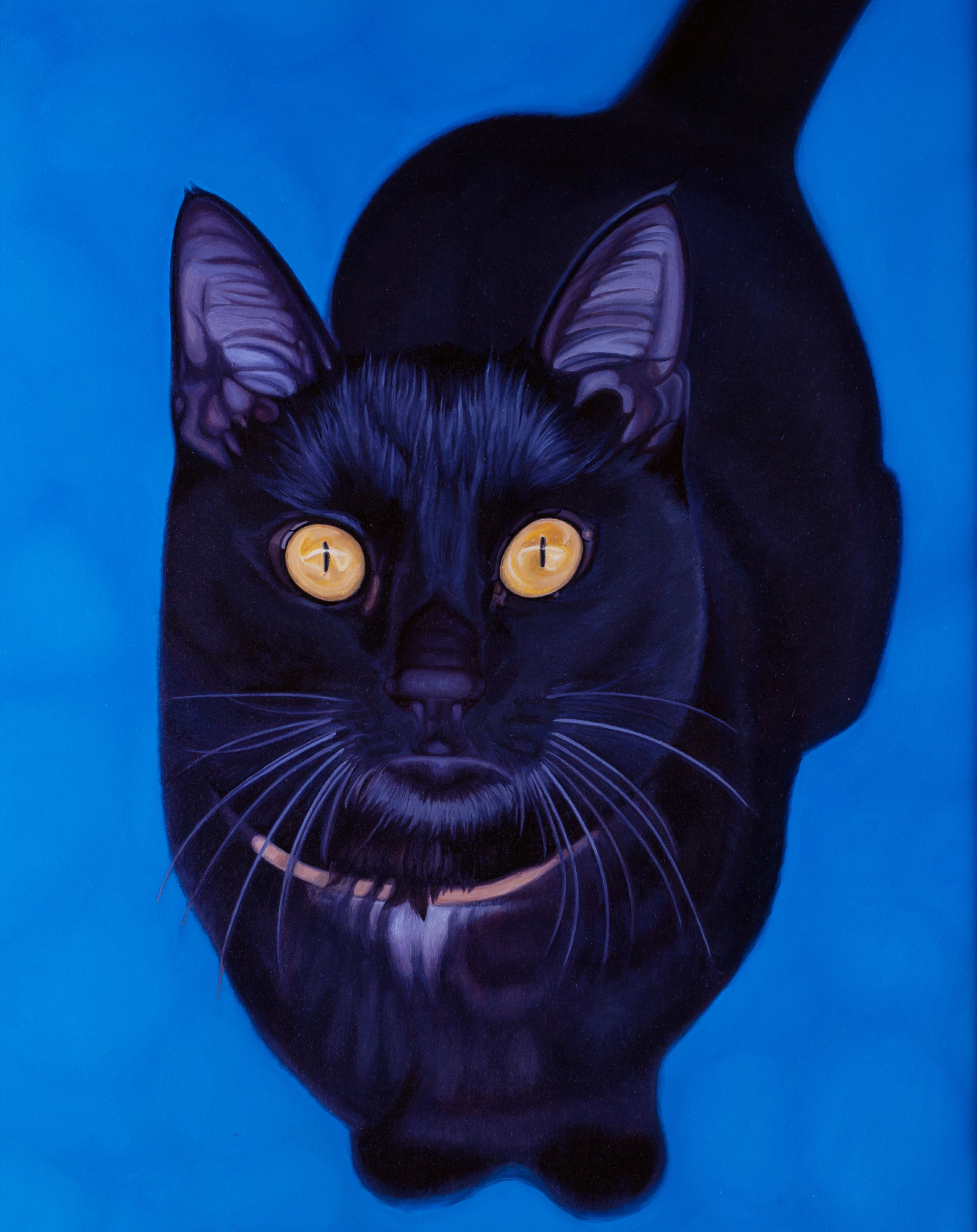 动物插画-诡异的黑猫咪|插画|商业插画|狮子大亨 - 原创作品 - 站酷 (ZCOOL)